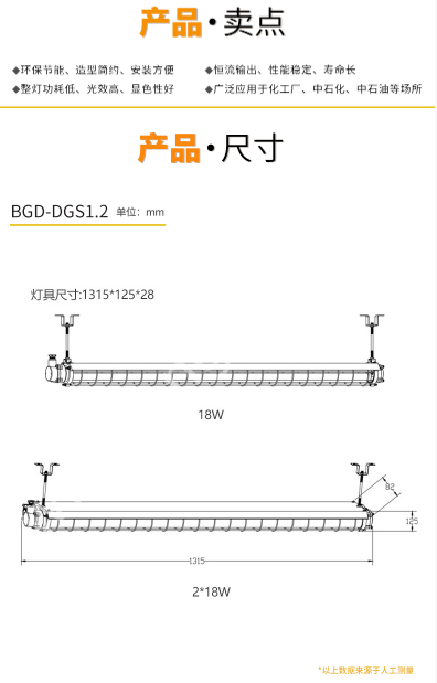 BGD-DGS 防爆灯