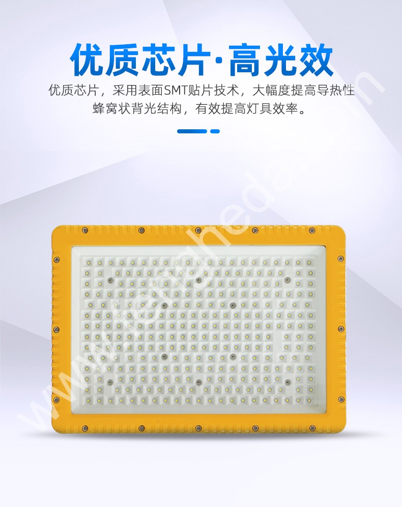 BAE98-BS 防爆灯