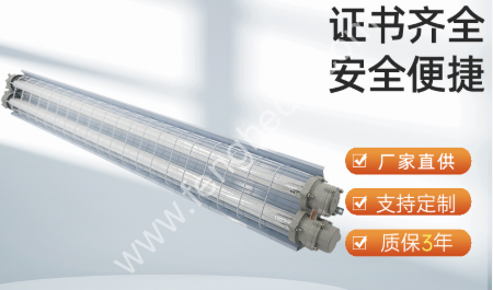 BGD-DGS 防爆灯