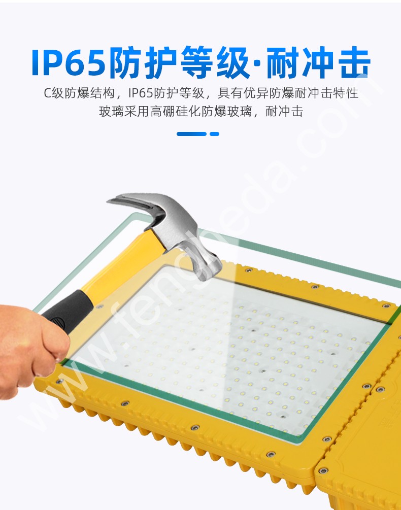 BAE98-P防爆灯