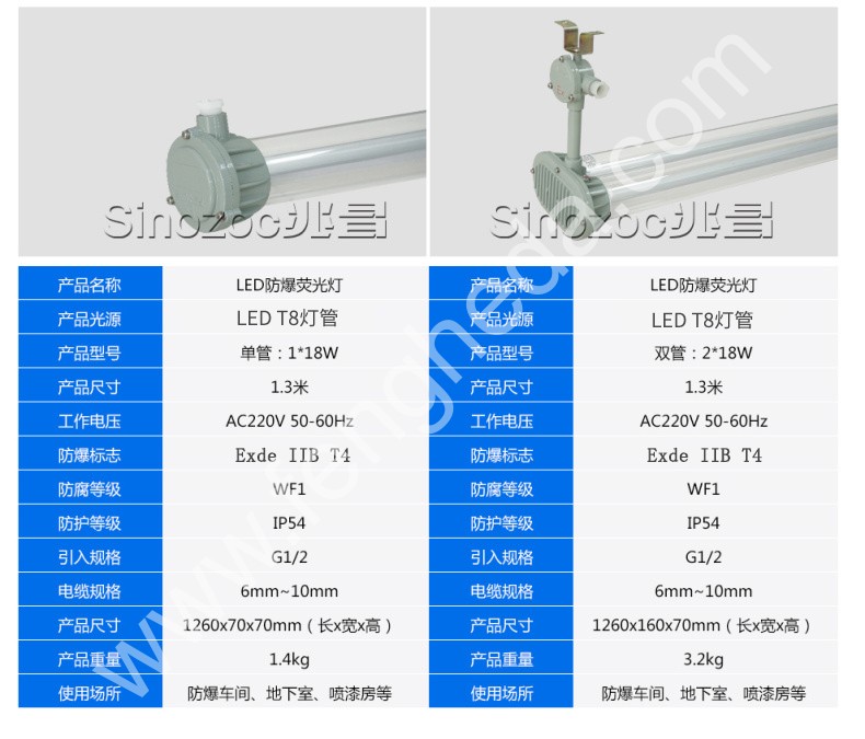 BGS-D/BTY-H 防爆灯管