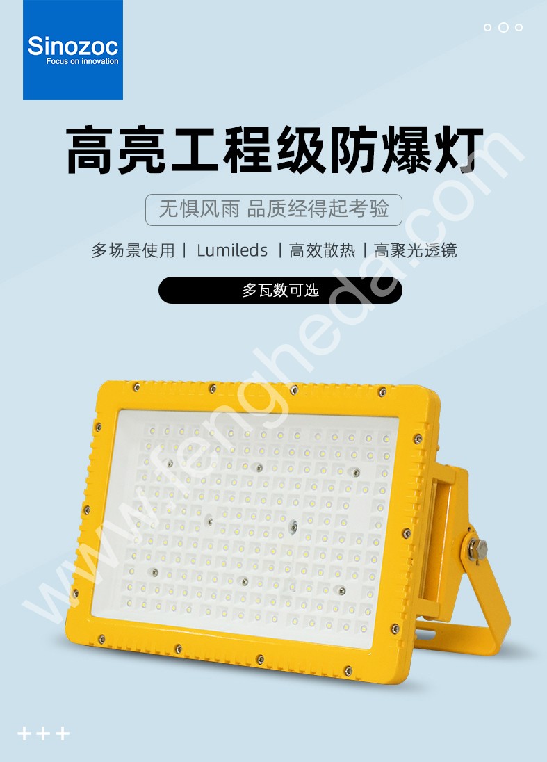 BAE98-BS 防爆灯