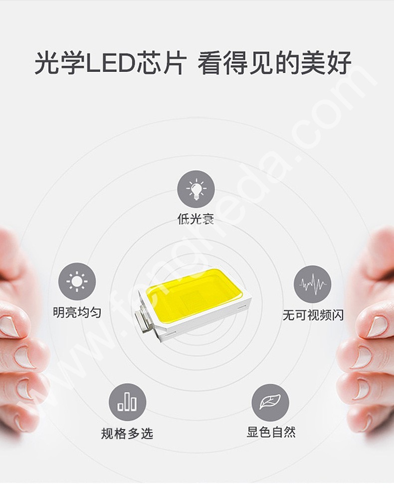 BGS-GH/BTY-GH 防爆免维护LED荧光灯