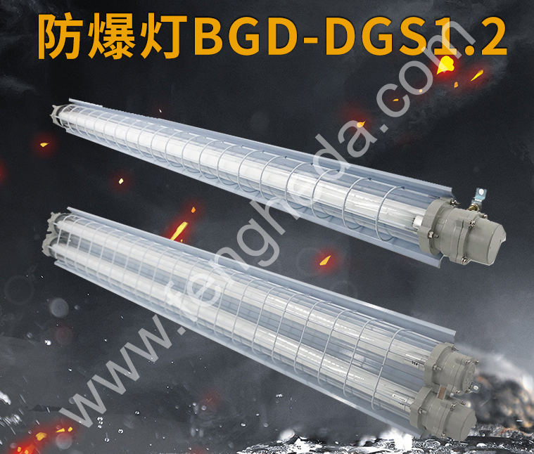 BGD-DGS 防爆灯