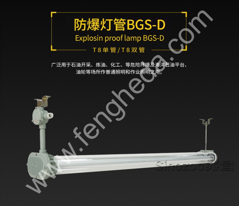 BGS-D/BTY-H 防爆灯管